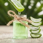 Aloe Vera: proprietăți și beneficii pentru sănătate