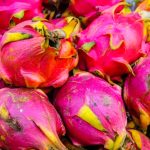 fructul dragonului